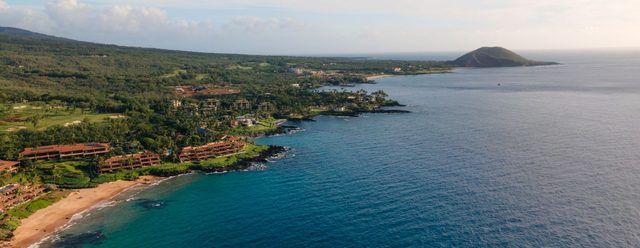 An aerial view of a green Maui coastline with a sandy bay and turquoise water