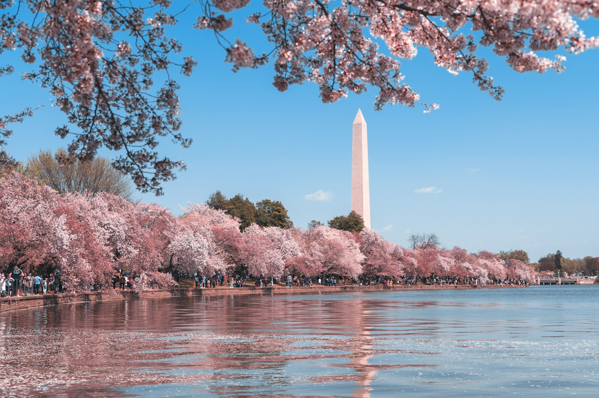 Washington skyline