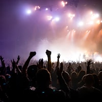 Concert crowd