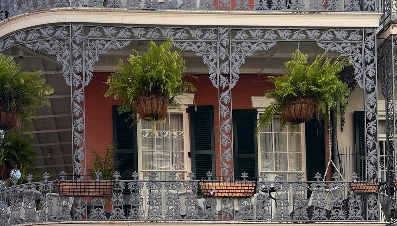 Ornate cast-iron balconies and hanging ferns on a red French Quarter building.