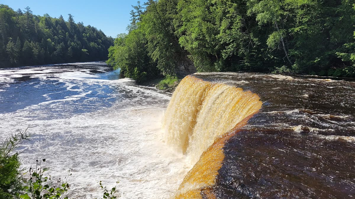 Tahquamenon Falls in Michigan's Upper Peninsula, wide amber water dropping over a rock ledge into a pine-lined gorge