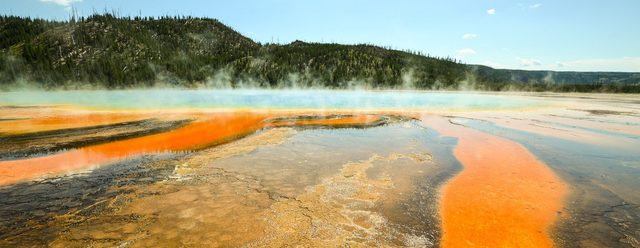Steam rising off a Yellowstone hot spring with orange bacterial mats around the rim